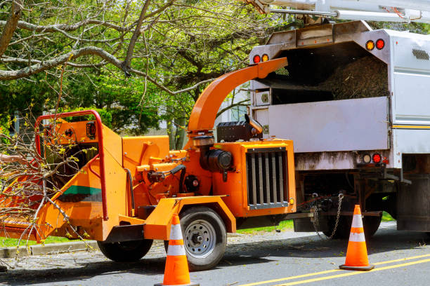 Best Arborist Consultation Services  in Copeland, OK